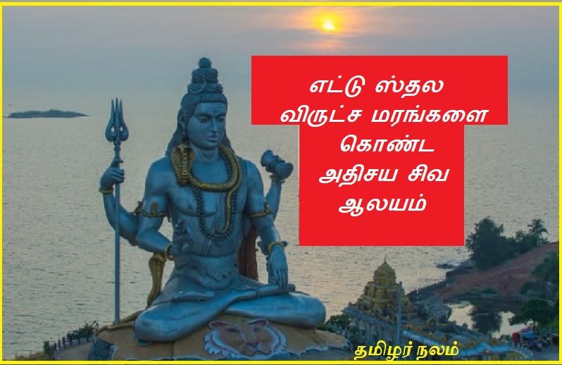 எட்டு ஸ்தல விருட்ச மரங்களை கொண்ட அதிசய சிவ ஆலயம் | A wonderful Shiva temple with eight standing trees