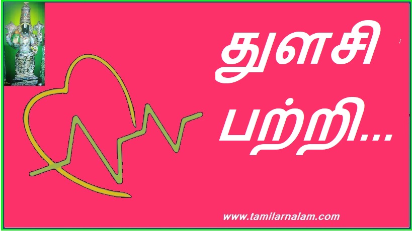 துளசி பற்றி... | About Tulsi...