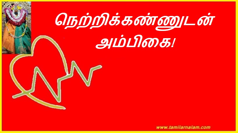 நெற்றிக்கண்ணுடன் அம்பிகை! | Ambikai with the forehead!