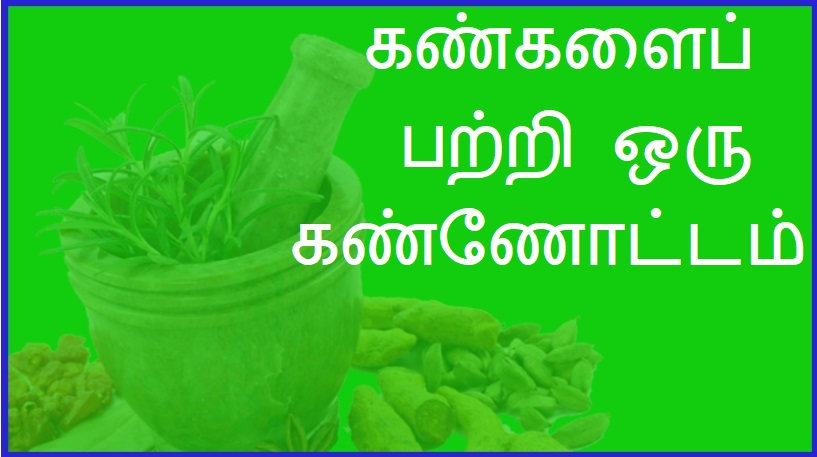 கண்களைப் பற்றி ஒரு கண்ணோட்டம் | An overview of the eyes