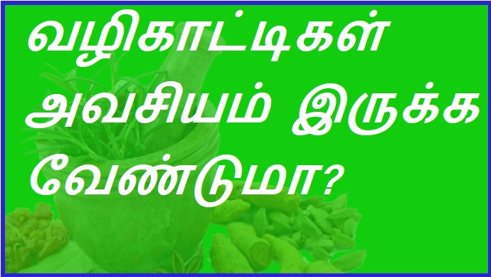 வழிகாட்டிகள் அவசியமாக இருக்க வேண்டுமா? | Are guides necessary?