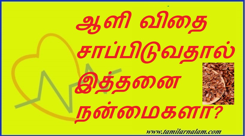 ஆளி விதை சாப்பிடுவதால் இத்தனை நன்மைகளா? | Are these benefits of eating flax seeds?
