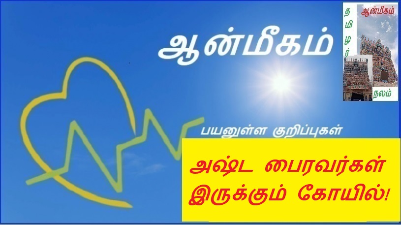 அஷ்ட பைரவர்கள் இருக்கும் கோயில்! | Ashta Bhairav ​​Temple!