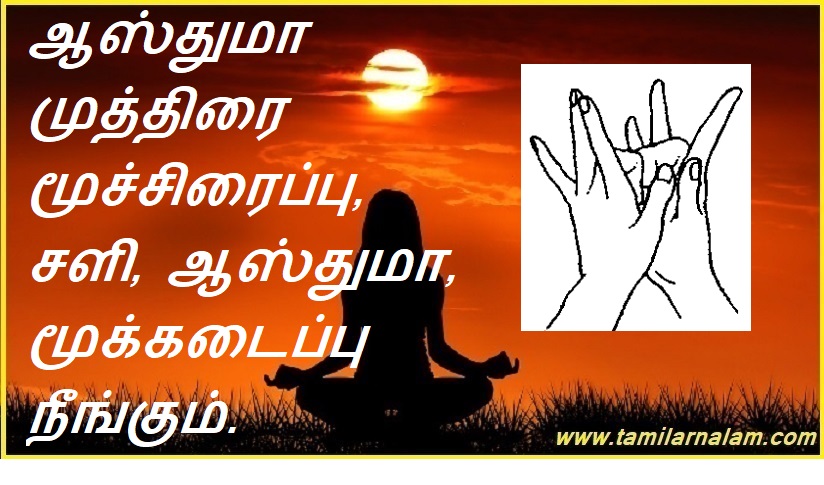 ஆஸ்துமா முத்திரை மூச்சிரைப்பு, சளி, ஆஸ்துமா, மூக்கடைப்பு நீங்கும். | Asthma seal relieves wheezing, cold, asthma, nasal congestion.