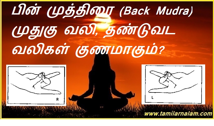 பின் முத்திரை (Back Mudra) முதுகு வலி, தண்டுவட வலிகள் குணமாகும்? | Back mudra cures back pain, spinal pain?