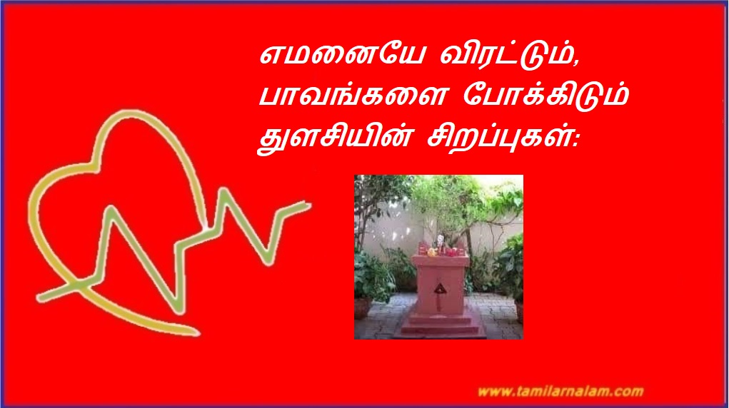 எமனையே விரட்டும், பாவங்களை போக்கிடும் துளசியின் சிறப்புகள்: | Benefits of Tulsi which repels us and removes sins: