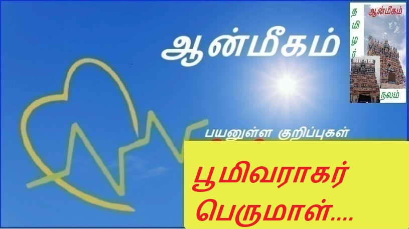 பூமிவராகர் பெருமாள்.... | Bhumivaragar Perumal....