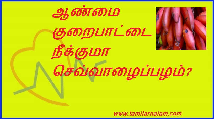 ஆண்மை குறைபாட்டை நீக்குமா செவ்வாழைப்பழம்? | Can banana remove impotence?