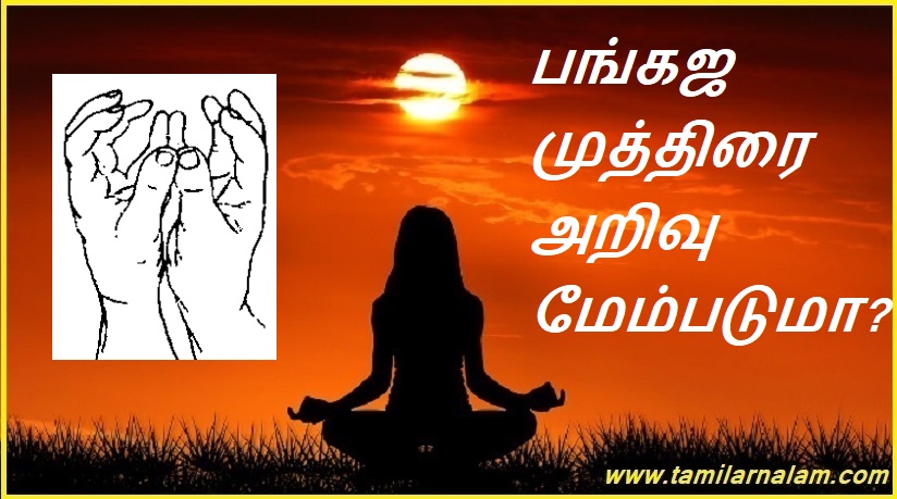 பங்கஜ முத்திரை அறிவு மேம்படுமா? | Can knowledge of pankaja mudra improve?
