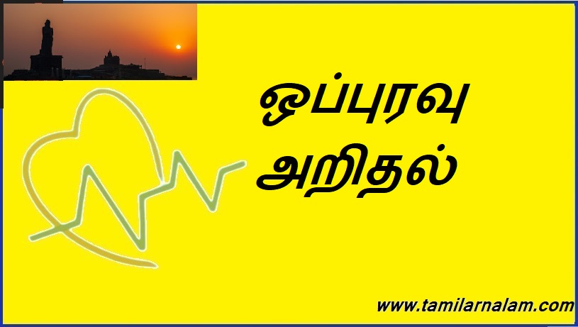 ஒப்புரவு அறிதல் | Cognition