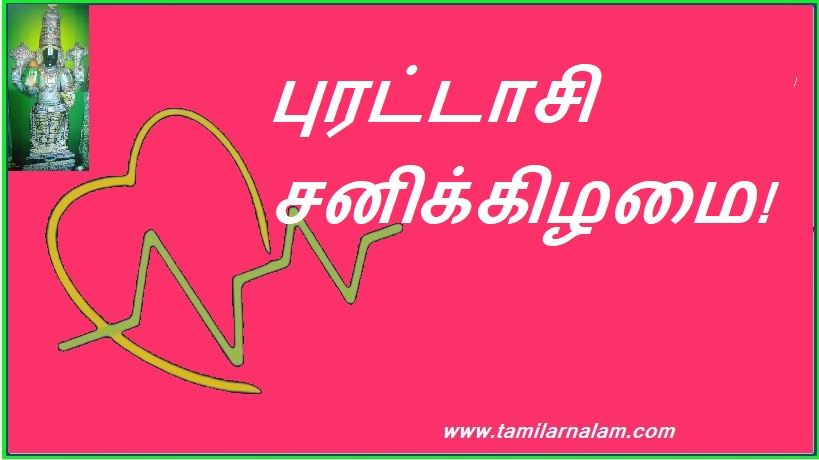 புரட்டாசி சனிக்கிழமை! | Crazy Saturday!
