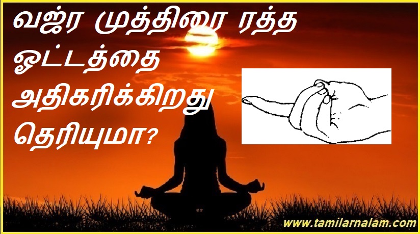 வஜ்ர முத்திரை ரத்த ஓட்டத்தை அதிகரிக்கிறது தெரியுமா? | Did you know that Vajra Mudra increases blood flow?