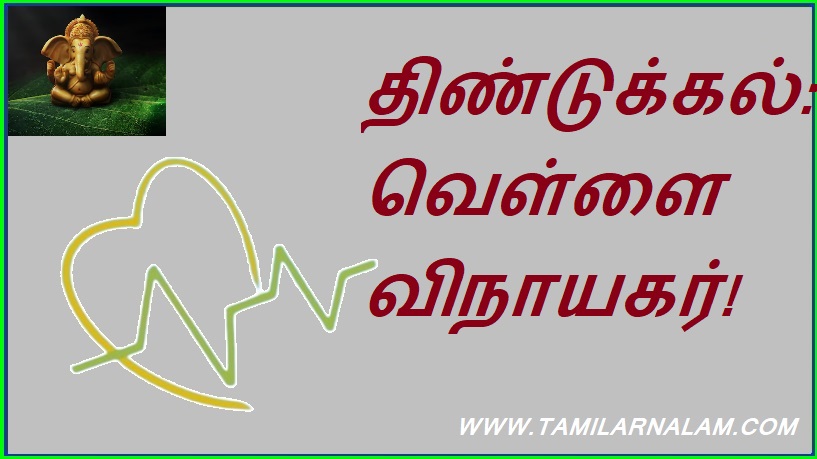 திண்டுக்கல்: வெள்ளை விநாயகர்! | Dindigul: White Ganesha!