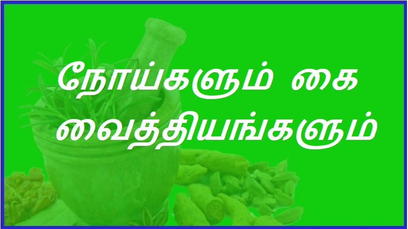 நோய்களும் கை வைத்தியங்களும் | Diseases and remedies