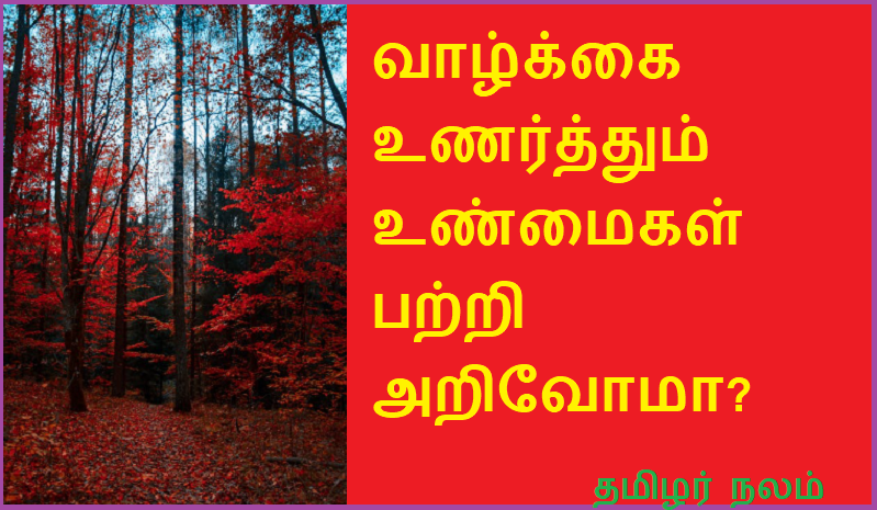வாழ்க்கை உணர்த்தும் உண்மைகள் பற்றி அறிவோமா | Do we know the truths of life?