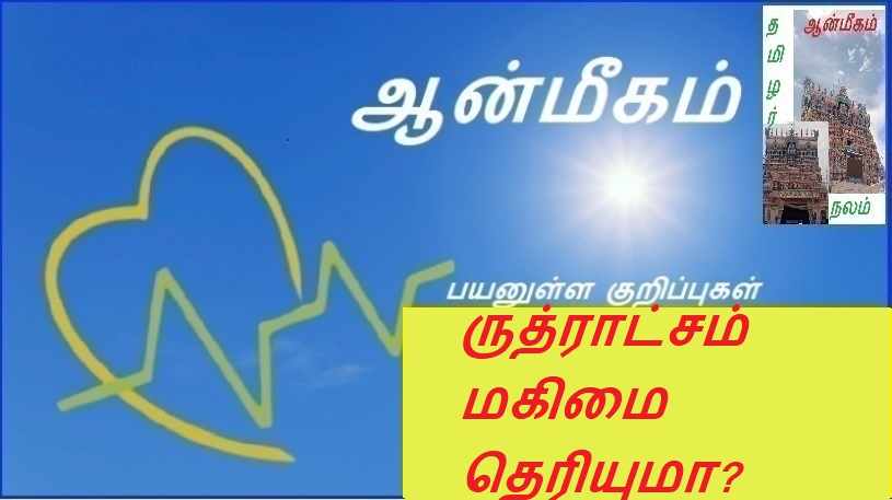 ருத்ராட்சம் மகிமை தெரியுமா? | Do you know the glory of Rudraksha?