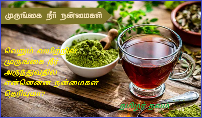 வெறும் வயிற்றில் முருங்கை நீர் அருந்துவதில் என்னென்ன நன்மைகள் தெரியுமா | Do you know the benefits of drinking moringa water on an empty stomach?