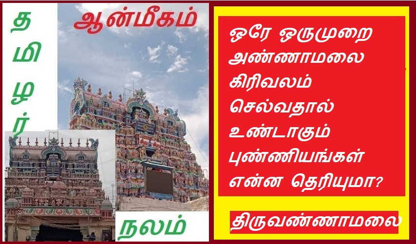 ஒரே ஒருமுறை அண்ணாமலை கிரிவலம் செல்வதால் உண்டாகும் புண்ணியங்கள் என்ன தெரியுமா? | Do you know the merits of going to Annamalai Krivalam just once?