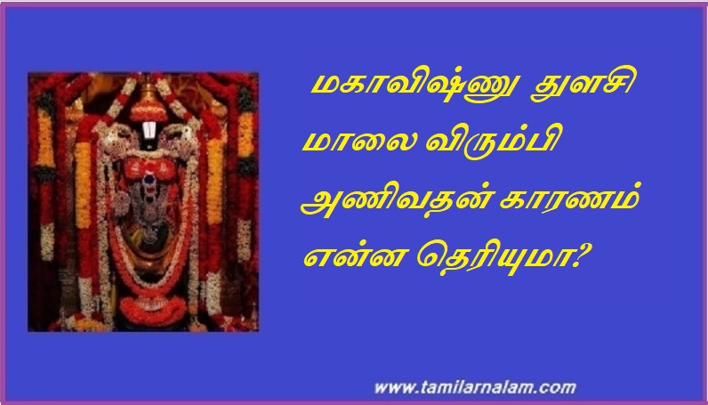  மகாவிஷ்ணு  துளசி மாலை விரும்பி அணிவதன் காரணம் என்ன தெரியுமா | Do you know the reason why Lord Vishnu likes to wear tulsi garland