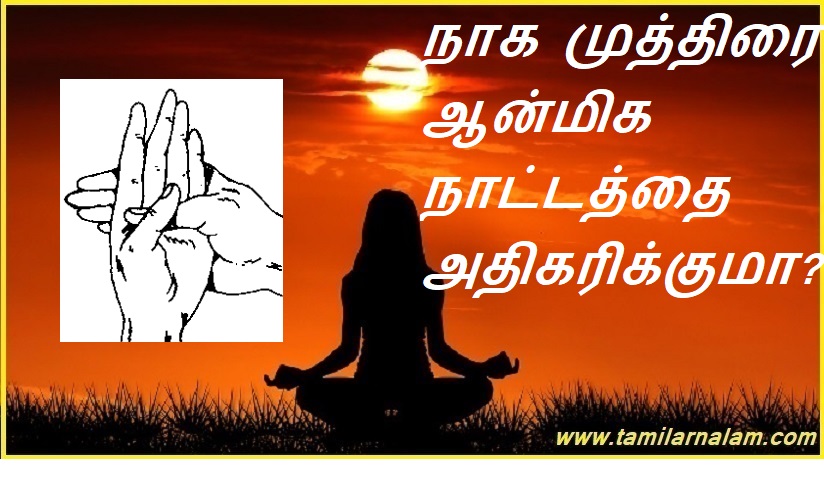 நாக முத்திரை ஆன்மிக நாட்டத்தை அதிகரிக்குமா? | Does Naga Mudra increase spiritual pursuits?