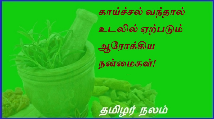 காய்ச்சல் வந்தால் உடலில் ஏற்படும் ஆரோக்கிய நன்மைகள்! | Health benefits of fever!