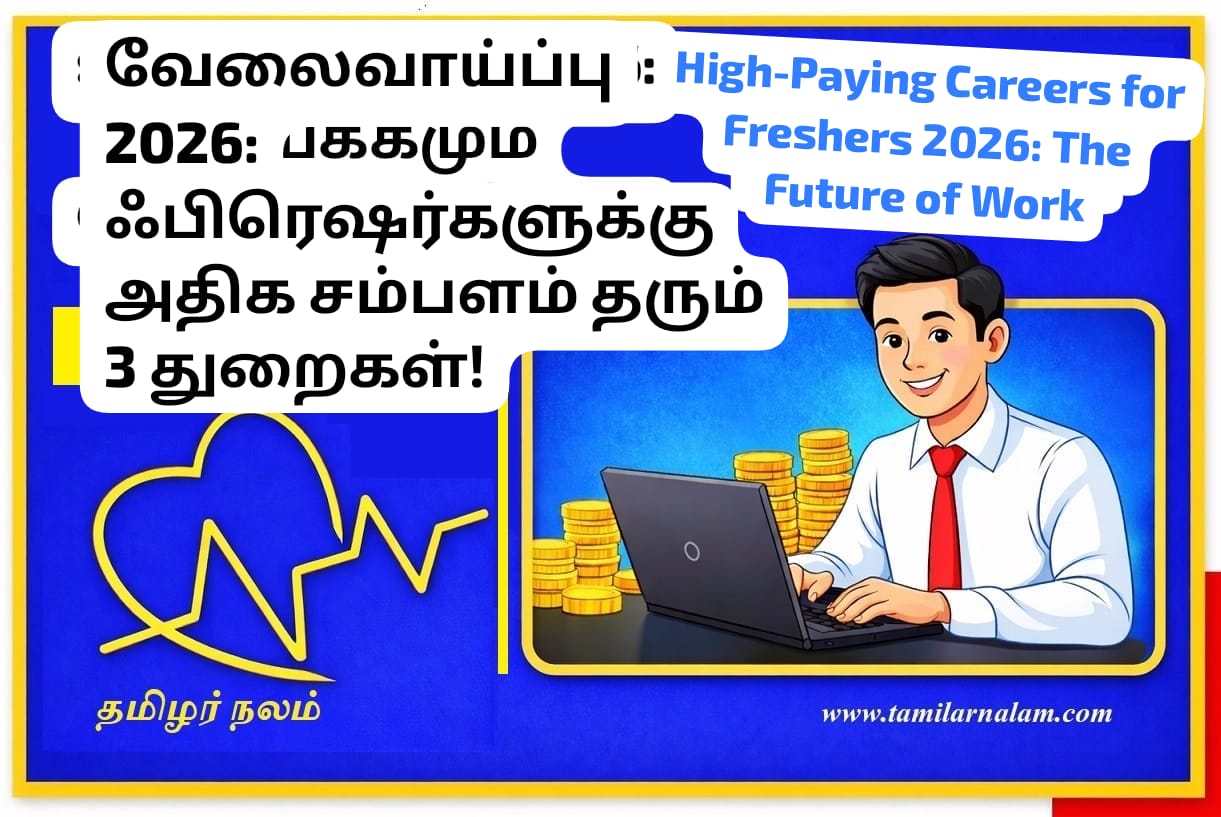 வேலைவாய்ப்பு 2026: ஃபிரெஷர்களுக்கு அதிக சம்பளம் தரும் 3 துறைகள்! | High-Paying Careers for Freshers 2026: The Future of Work