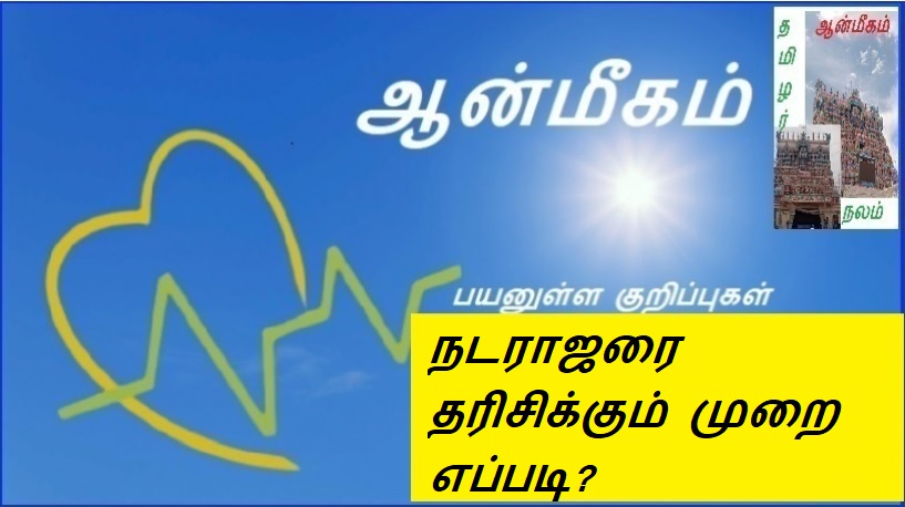 நடராஜரை தரிசிக்கும் முறை எப்படி? | How to visit Nataraja?