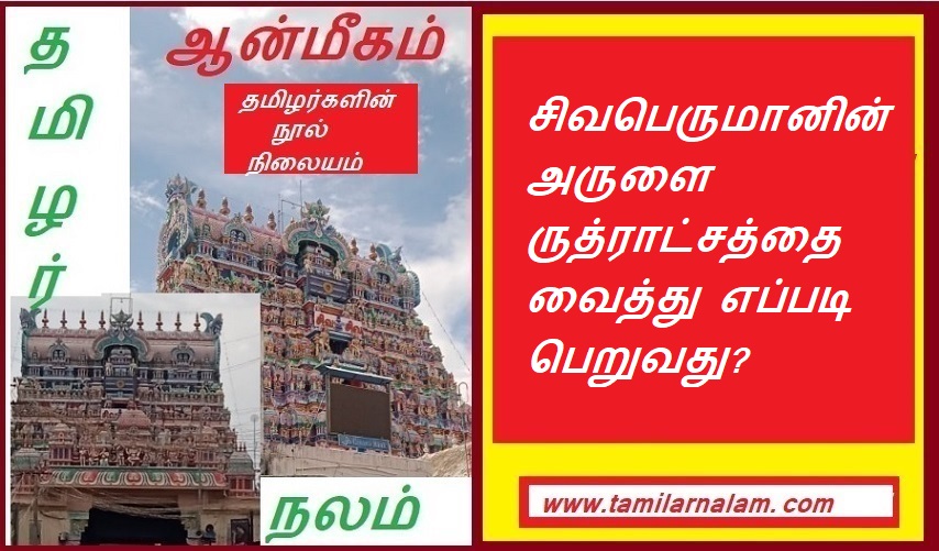 சிவபெருமானின் அருளை ருத்ராட்சத்தை வைத்து எப்படி பெறுவது? | How to get Lord Shiva's grace by wearing Rudraksha?