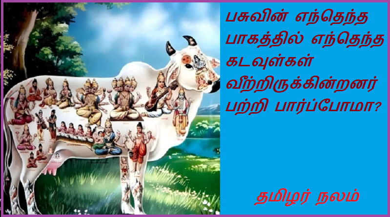 பசுவின் எந்தெந்த பாகத்தில் எந்தெந்த கடவுள்கள் வீற்றிருக்கின்றனர். | In which part of the cow, which gods reside.