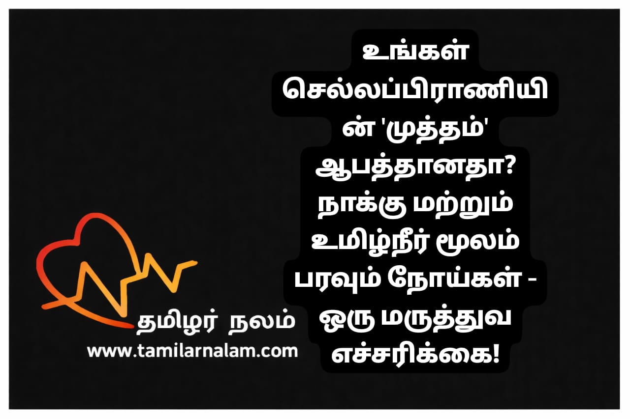 செல்லப்பிராணி நாக்கு மூலம் மனிதர்களுக்கு நோய் பரவுமா? அவசியம் தெரிய வேண்டிய 6 உண்மைகள்! | தமிழர் நலம் | Is Pet Licking Dangerous? 6 Diseases Spread by Dog and Cat Saliva | Safety Guide | Tamilar Nalam