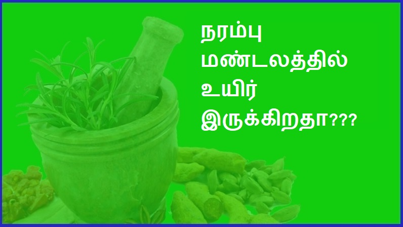 நரம்பு மண்டலத்தில் உயிர் இருக்கிறதா? | Is there life in the nervous system?