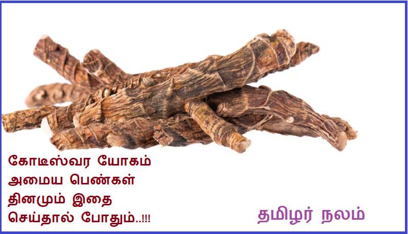 கோடீஸ்வர யோகம் அமைய பெண்கள் தினமும் இதை செய்தால் போதும் | It is enough for women to do this daily to become millionaire yoga