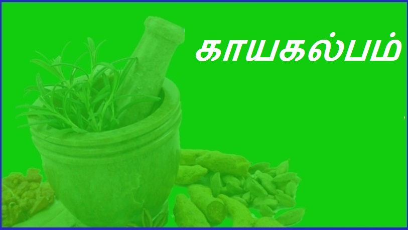 காயகல்பம் | Kayakalpam