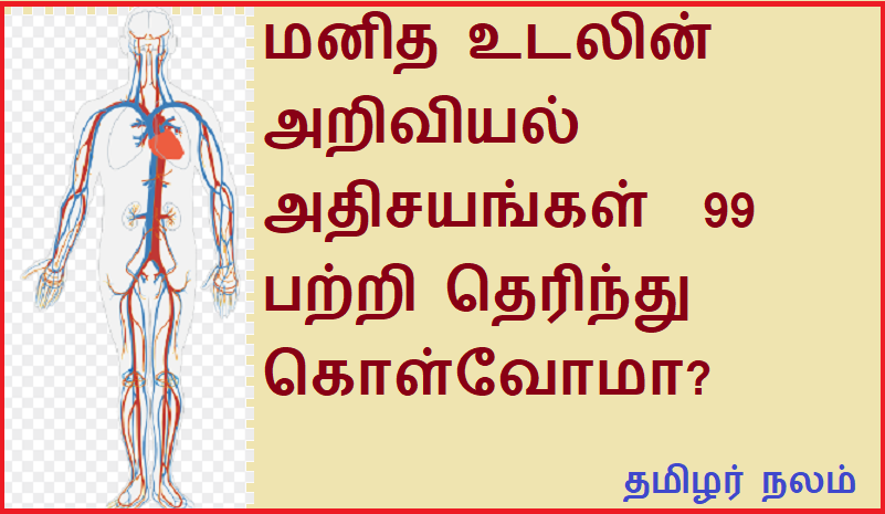 மனித உடலின் அறிவியல் அதிசயங்கள்  99 பற்றி தெரிந்து கொள்வோமா | Let's learn about 99 scientific wonders of the human body