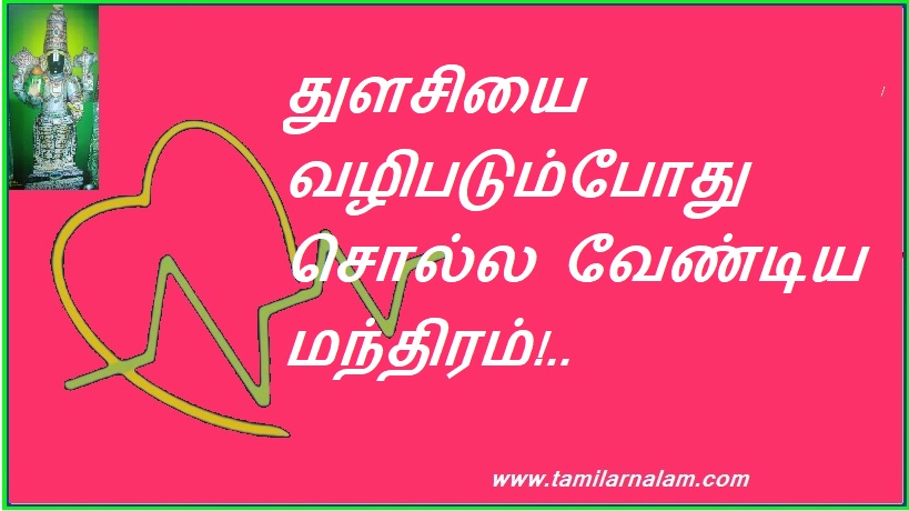 துளசியை வழிபடும்போது சொல்ல வேண்டிய மந்திரம்!.. | Mantra to recite while worshiping Tulsi!..