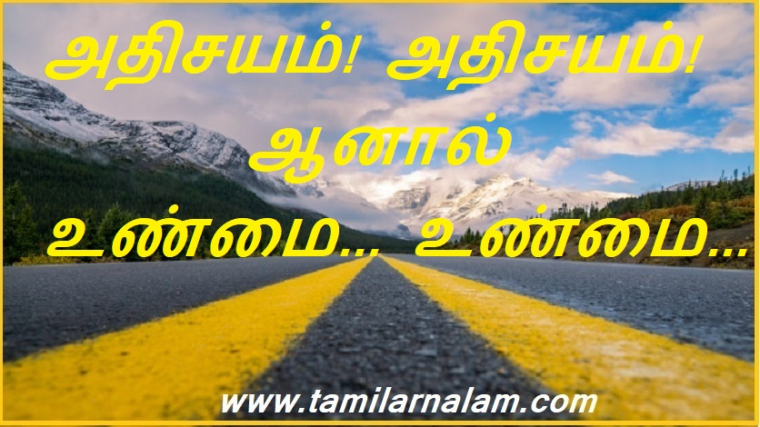 அதிசயம்! அதிசயம்! ஆனால் உண்மை... உண்மை... | Miracle! Miracle! But the truth... the truth...