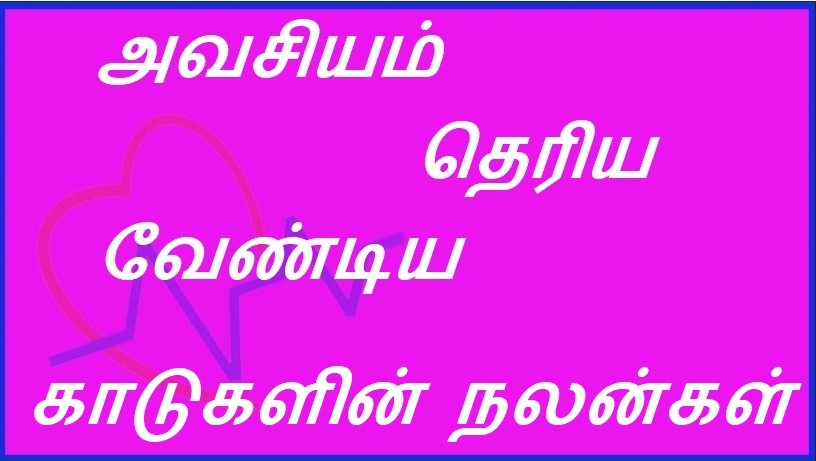 அவசியம் தெரிய வேண்டிய காடுகளின் நலன்கள் | Must-Know Benefits of Forests