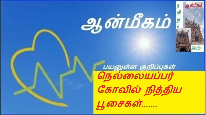 நெல்லையப்பர் கோவில் நித்திய பூசைகள்....... | Nellaiyapar Temple Eternal Prayers.......