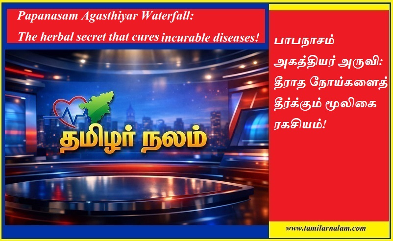 பாபநாசம் அகத்தியர் அருவி: தீராத நோய்களைத் தீர்க்கும் மூலிகை ரகசியம்! | Papanasam Agasthiyar Waterfall: The herbal secret that cures incurable diseases!