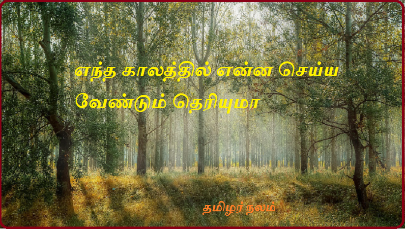 எந்த காலத்தில் என்ன செய்ய வேண்டும் தெரியுமா | Know what to do at what time