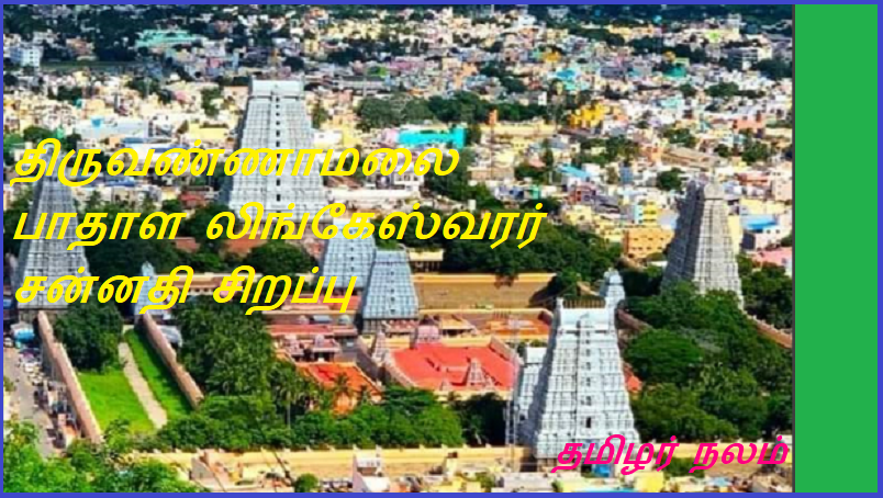திருவண்ணாமலை பாதாள லிங்கேஸ்வரர் சன்னதி சிறப்பு | Tiruvannamalai Pathala Lingeswarar Shrine is special