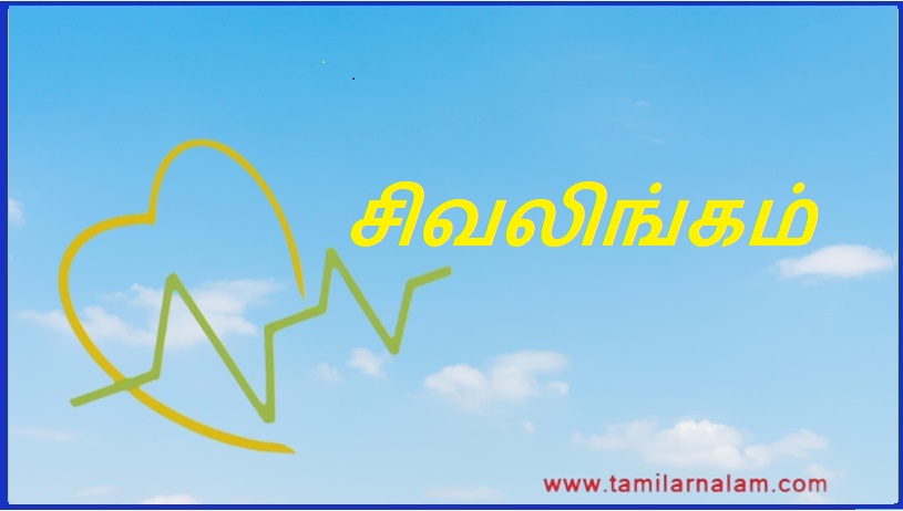 சிவலிங்கம் | Shiv Lingam