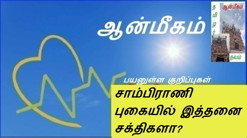 சாம்பிராணி புகையில் இத்தனை சக்திகளா? | So much power in champrani smoke?