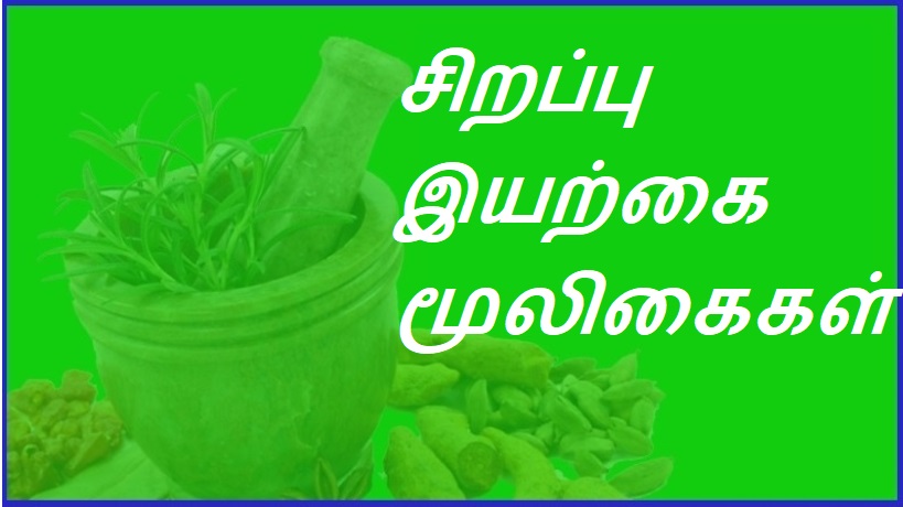 சிறப்பு இயற்கை மூலிகைகள் | Special natural herbs