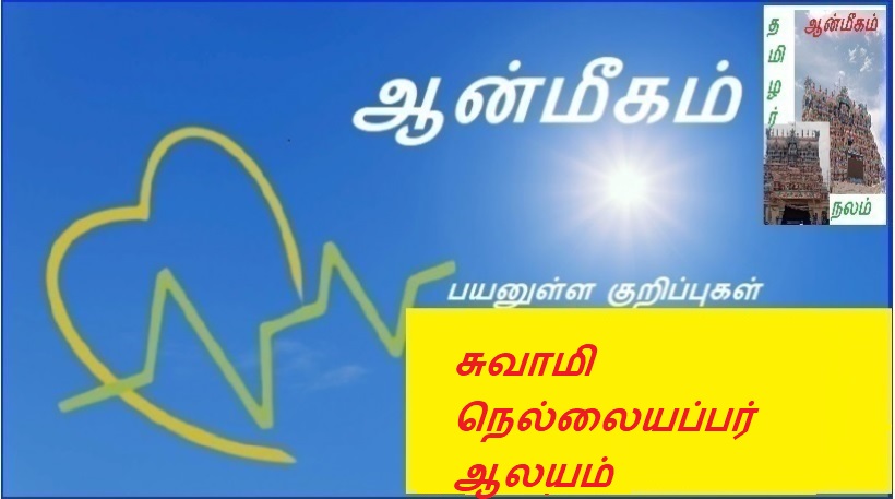 சுவாமி நெல்லையப்பர் ஆலயம் | Swami Nellaiappar Temple