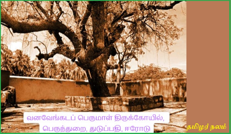 அருள்மிகு வனவேங்கடப் பெருமாள் திருக்கோயில் | The auspicious Vanavenkata Perumal temple
