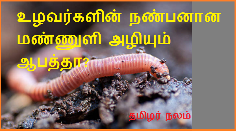 மண்ணுளிபாம்பு மர்மம் | The earthworm mystery