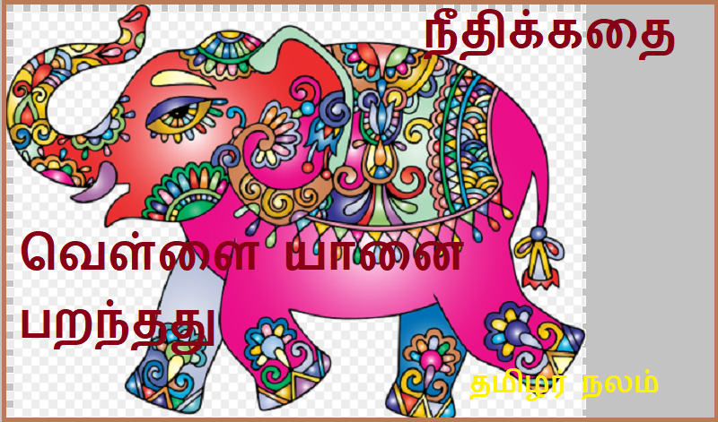 வெள்ளை யானை பறந்தது | The white elephant flew