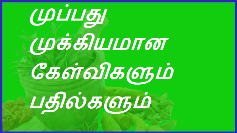 முப்பது முக்கியமான கேள்விகளும் பதில்களும் | Thirty important questions and answers