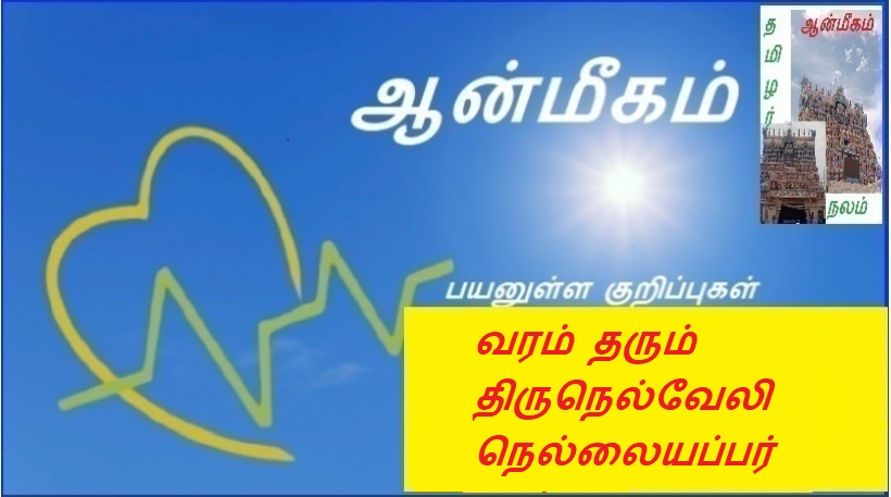 வரம் தரும் திருநெல்வேலி நெல்லையப்பர் | Tirunelveli Nellaiappar which gives boon